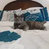 Emily Lemons - @emilylemons18 - TikTok