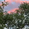 emilylo0 - @emilylo0 - TikTok