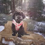 Emily Loera Carrera - @emily.emelina.flufferina - Instagram