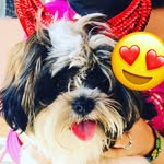 Emily Perez Loera - @lastravesuras.de.emily - Instagram
