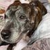 Emmy Rose Lofthouse - Facebook