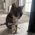 Emily Lomas - Facebook