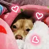 Emily Longoria - @blazin_rose1213 - TikTok