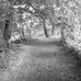 Emily Low - Facebook