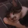 emilylowtherr - @emilylowtherr - TikTok