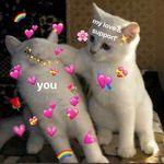 Emily lujan - @candy_corn36 - Instagram