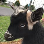 Emily - @emilymaagspam - Instagram