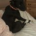 Emily B Macomber - Facebook