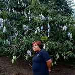 Emily Mana-ay - Facebook