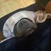 Emily Maney - @broken.angel455 - TikTok