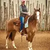 Emily Wehner - @emilyhorsemanship - TikTok