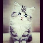 emily marcum - @marcumem - Instagram