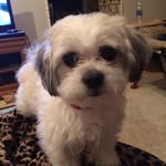 Emily Marek - @writer.emily.marek - Instagram