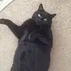Emily_az - @emilymarie_az - TikTok