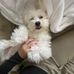 Emily Mari - Facebook