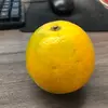 EM - @emily_marriott_ - TikTok