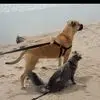 Emily Marriott - @emily.marriott1 - TikTok