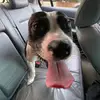 emilymattern - @emily.mattern2 - TikTok