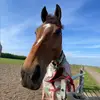 emily - @emilyy_mcfarlane - TikTok