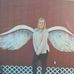 Emily McLain Photography - Facebook