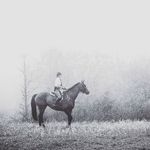 Emily Melton - @emily.melton_tryembackstables - Instagram