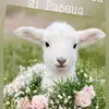 emilymichetti87 - @emilymichetti87 - TikTok