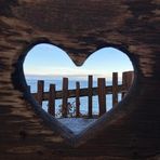 Emily Mitnick - Facebook