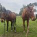 Emily Moffitt - Facebook