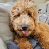 emilymoreau19 - @emilymoreau19 - TikTok