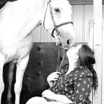 Emily Mosher - @_equine_emily_ame - Instagram