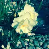 Emily Mosher - @emily.mosher - TikTok
