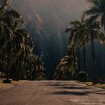 Emily Nielson - @dramabanana123 - Instagram