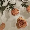 emilynielson - @emilynielson - TikTok