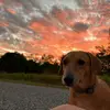 emily - @emily.melahrinoss - TikTok