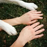 Emily Nusbaum - @emilyjonusbaum - Instagram