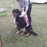 Emily O Connell - @emily.oconnell.543 - Instagram