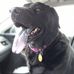 Emily Oconnell - Facebook