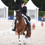 Emily Ormerod - Dressage Rider & Coach - @emilyormerod_uk - Instagram