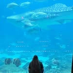 Emily Karros - @emily_pace_206 - Instagram