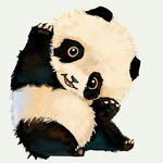 Emily pak - @emil.y2008 - Instagram