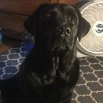 Emily Parent - @it_is_i_skittlez2 - Instagram