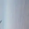 Emily Pate - @emily.pate1 - TikTok