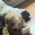 Emily Patrick - Facebook
