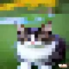 emilyppatsyt - @emilyppatsyt - TikTok