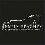 Emily Peachey ESMT - @emilypeachey_equinemassage - Instagram