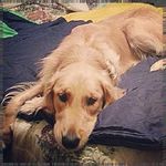 Kyle Kazmierczak - @emilypecorawxl - Instagram