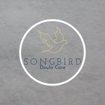 Emily Peden - @songbird.doula - Instagram
