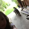 Em_pepper - @_emily_pepper_ - TikTok