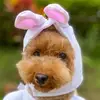 Emilypepper16 - @emilypepper16 - TikTok