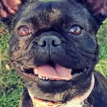 Pepper Lucey - @emily_pepper_french - Instagram